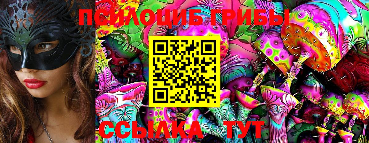 Галлюциногенные грибы прущие грибы  Вход с VPN  Менделеевск 