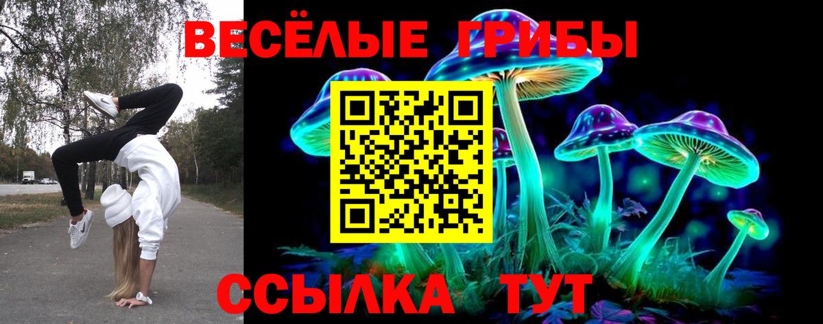 Псилоцибиновые грибы MAGIC MUSHROOMS Менделеевск
